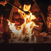 Vasthu Homam